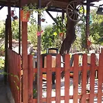 Selin Gæstehus Veliko Tarnovo